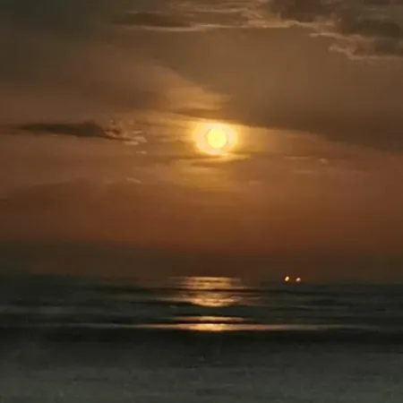 Marina Beach And Seaview